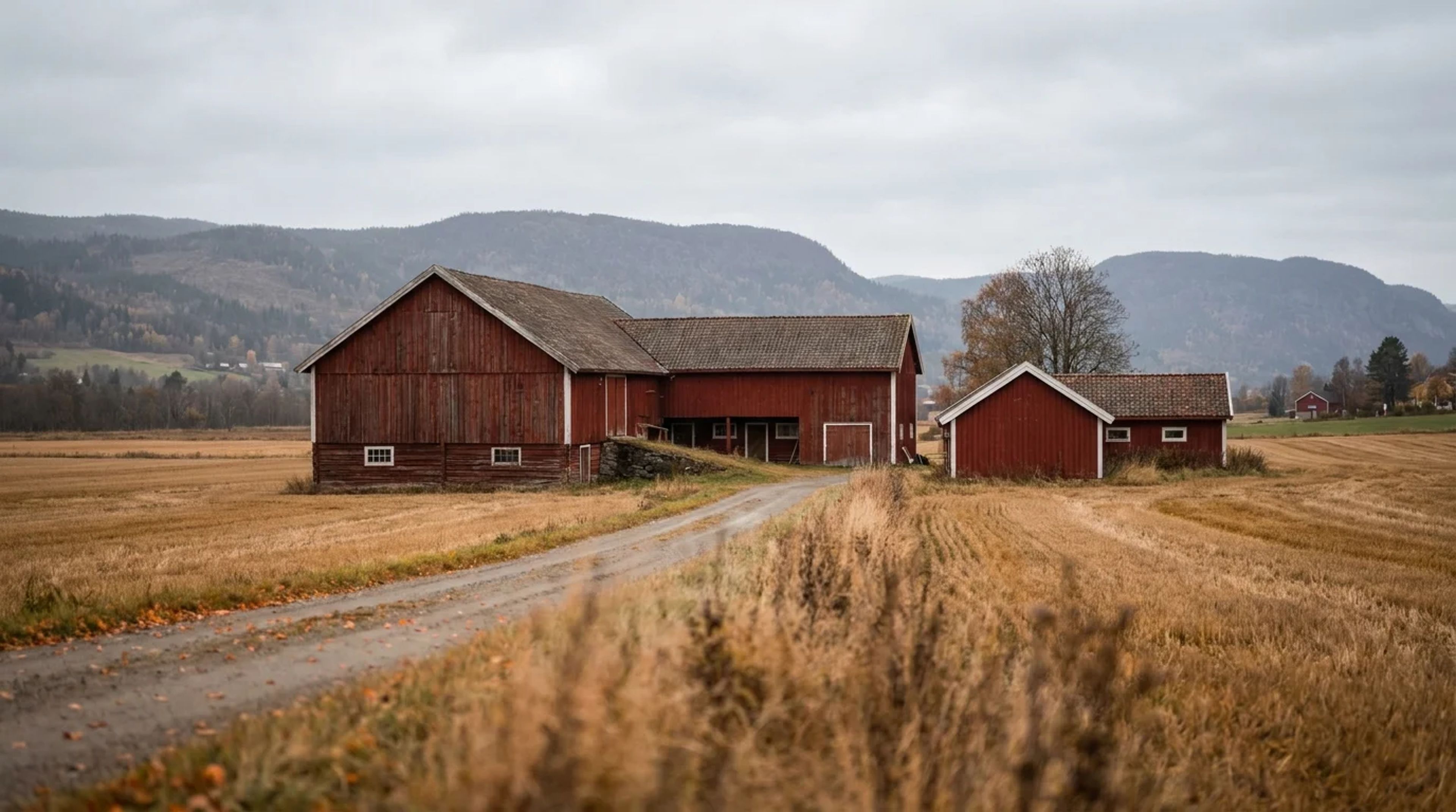 174 gårdsbruk igjen i Øvre Eiker etter nedgang på to