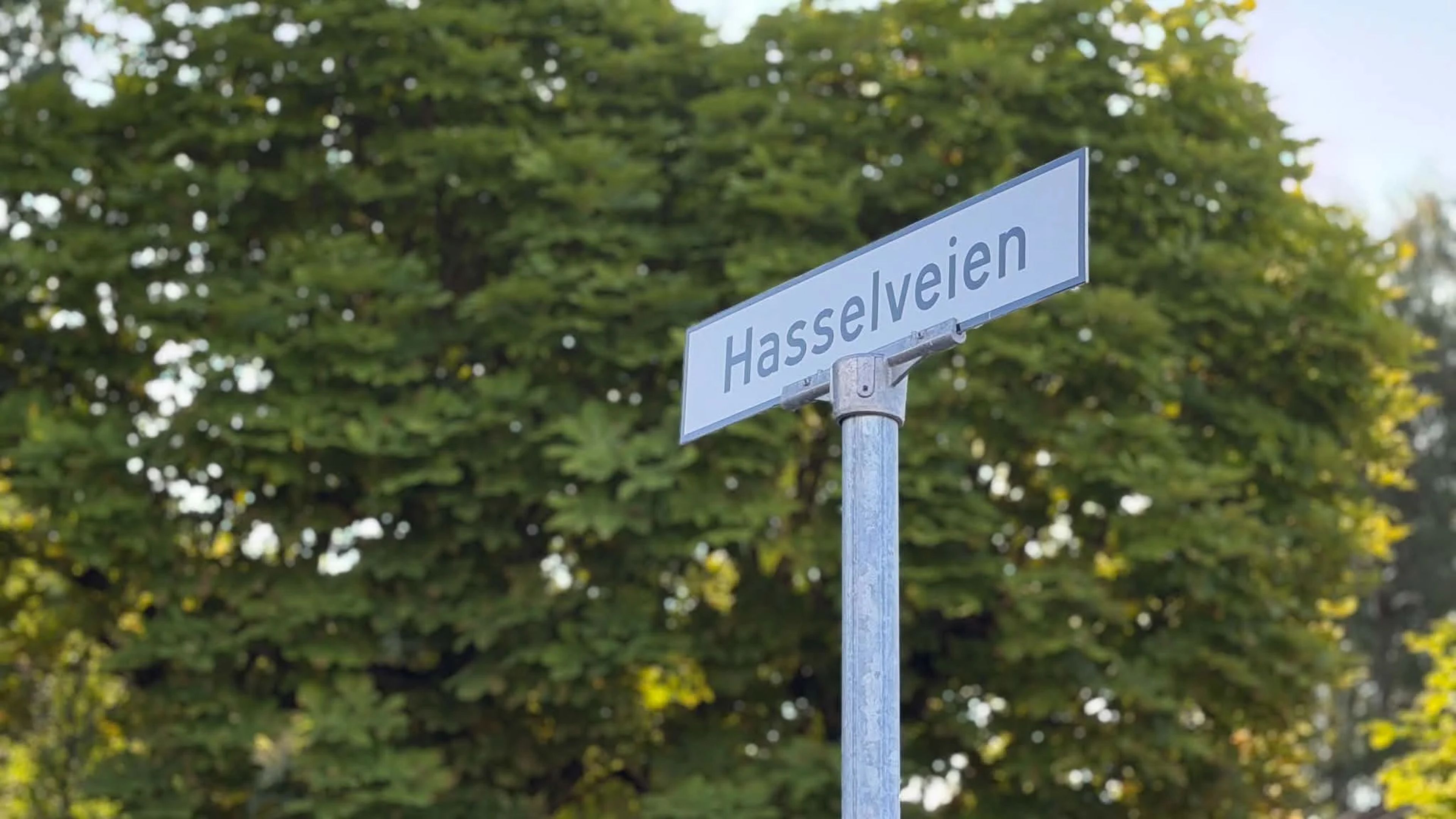 Droppet skredberegning i Skotselv: To bygg sto i faresonen
